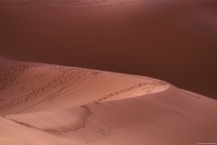 Sahara - Merzouga