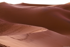 Sahara - Merzouga