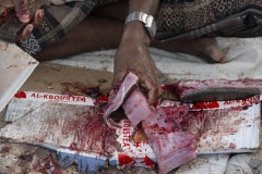 Fish Market - Hadibo