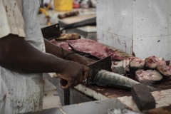 Fish Market - Hadibo