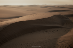 Omak Beach - sand dunes
